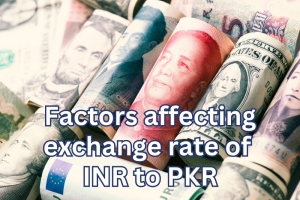 Factors Affecting the INR to PKR Exchange Rate